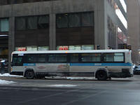 STM-15079-012009-03.jpg