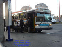 STM-15092-112309-05.jpg