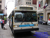 STM-15132-073108-01.jpg