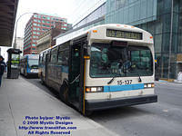 STM-15137-021609-05.jpg