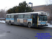 STM-59058-020808-11.jpg