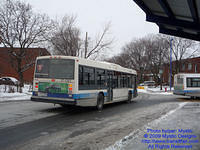 STM-17061-010209-03.jpg