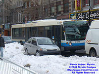 STM-17075-031308-01.jpg