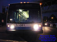 STM-17081-070707-01.jpg