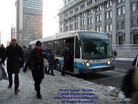 STM-17107-012009-01.jpg