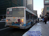 STM-17107-012009-02.jpg