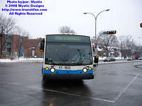 STM-17160-020508-02.jpg