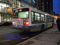 STM-18016-113009-02.jpg