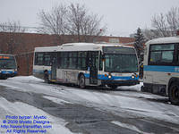 STM-21250-010209-01.jpg