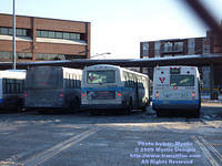 STM-21258-010509-01.jpg
