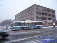 STM-24293-010209-01.jpg
