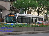 STM-28117-071509-01.jpg