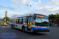 STM-28701-080609-01.jpg