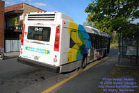 STM-29117-091309-02.jpg