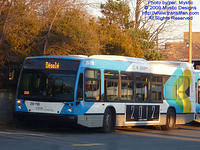 STM-29118-111809-02a.jpg