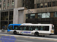 STM-29018-071509-02.jpg