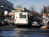 STM-29028-022509-03.jpg