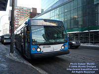 STM-29029-022509-07.jpg