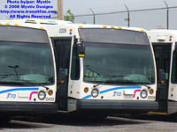 STO-0209-060207-01.jpg