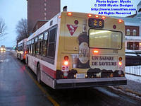 STTR-0102-120207-01.jpg