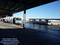 STL-MM-010509-02.jpg