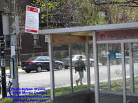 STM-PANC-042608-01.jpg