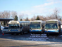STM-HB-010509-07.jpg