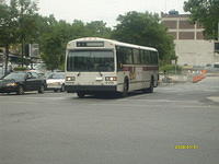 S6305029.JPG