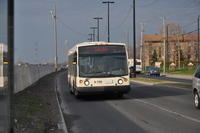 DSC 0016